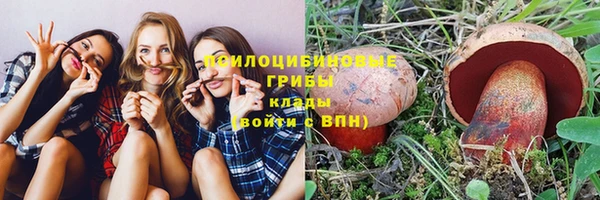герыч Алзамай