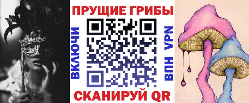 где продают   Щигры  Псилоцибиновые грибы Psilocybine cubensis 